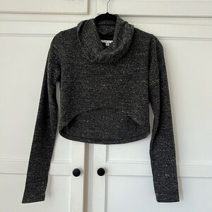 Cabi Cropped Top Gray Long Sleeve Top  S